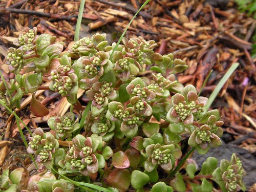 2012 05 19_Alice Sousa107