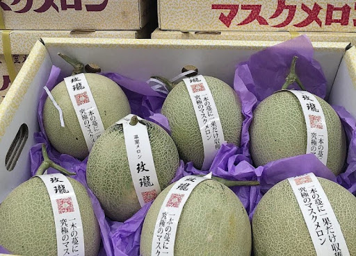 Japanese melon price dives - Sleck