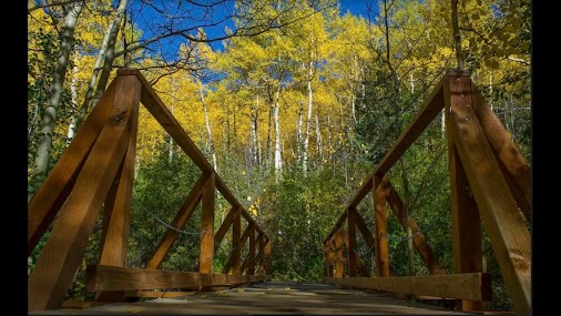 2018 Colorado Fall Leaves Colors Map