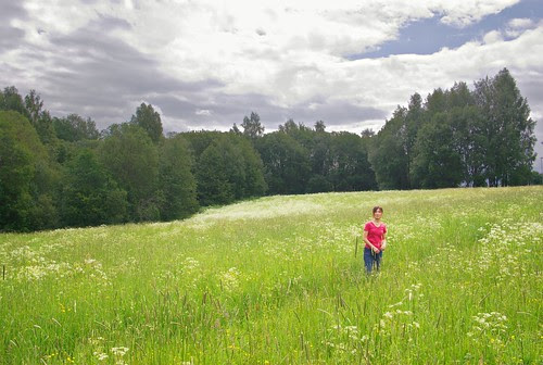 Meadow