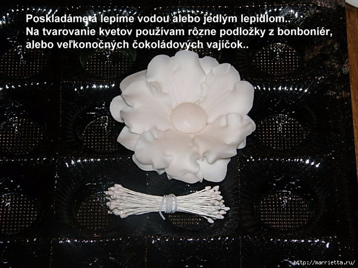Modelado de masilla de azúcar para las tortas. flores hermosas. Master Class (7) (700x525, 299KB)