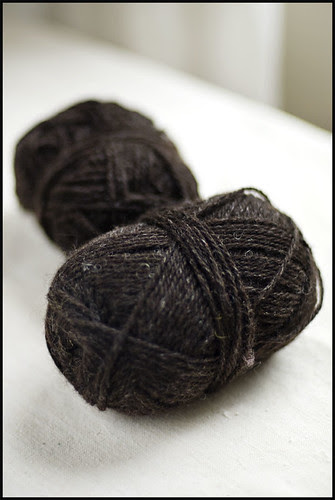 Garthenor Black Sheep
