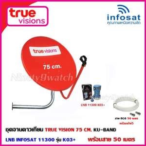 true vision ราคา