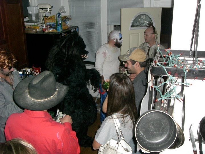 kitchen wolf