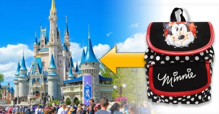 Can you vape at Disney World?