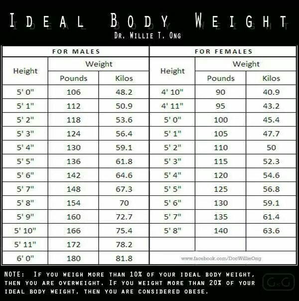 Average Kpop Idol Height And Weight K Pop Galery 