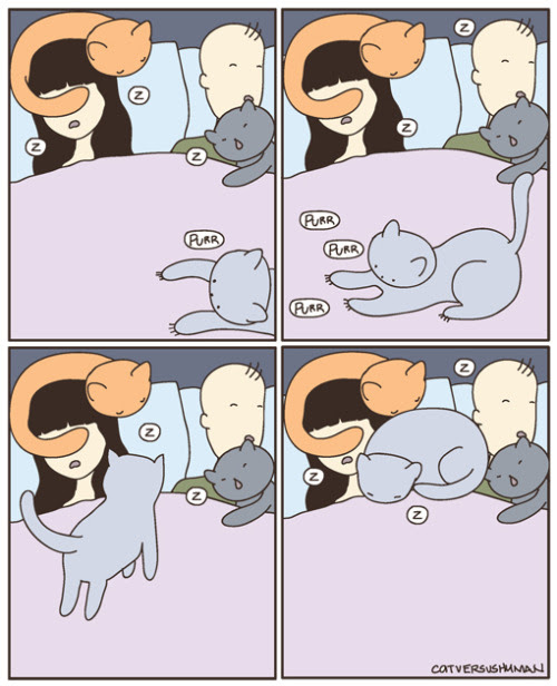 CyBeRGaTa: Kitteh Comix - Comics With Cats