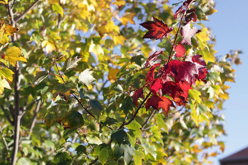 blog141_01