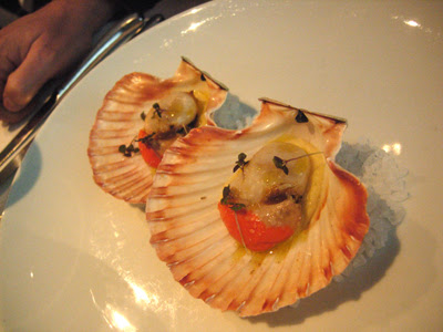 0DSCN5205.jpg