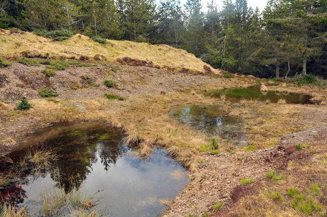 Abandoned Gravel Pits In Blairmore Steven Brown Abandoned Gravel Pits In Blairmore Steven Brown
