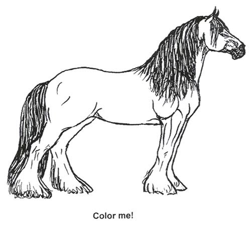 Clydesdale Horse Coloring Page - 347+ SVG PNG EPS DXF File