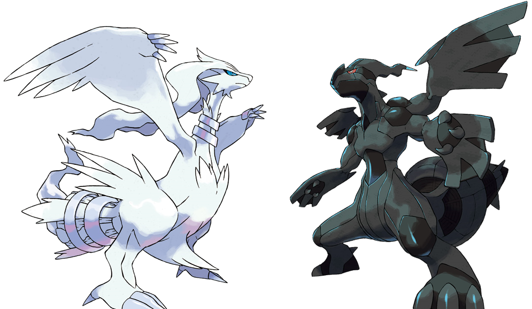 Ru Slagter Amfibiekøretøjer Vasi Comunicanti: Pokémon, come scaricare e ottenere Reshiram in Bianco e  Zekrom in Nero