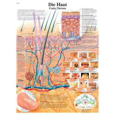 Gesundheit: October 2011