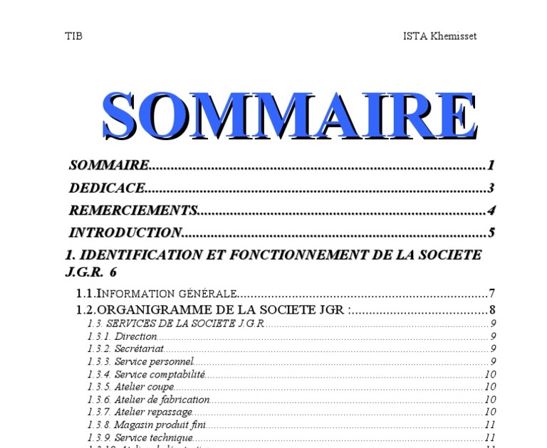 Exemple De Sommaire Dun Rapport De Stage Le Meilleur Exemple