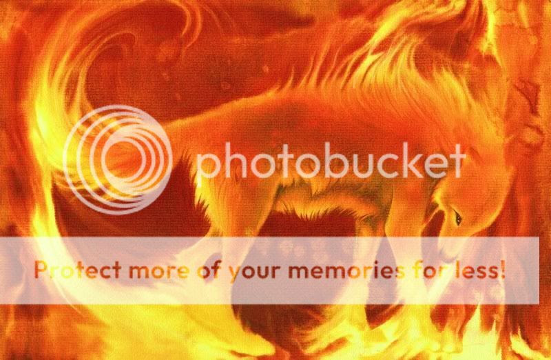 75 Pictures Of Fire And Water Wolves Friend Quotes