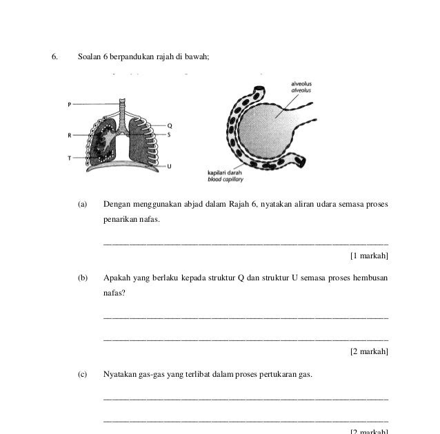 Pt3 contoh inggeris soalan bahasa Koleksi Soalan