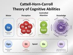 What Do IQ Tests Test?: Interview with Psychologist W. Joel Schneider | The Creativity Post