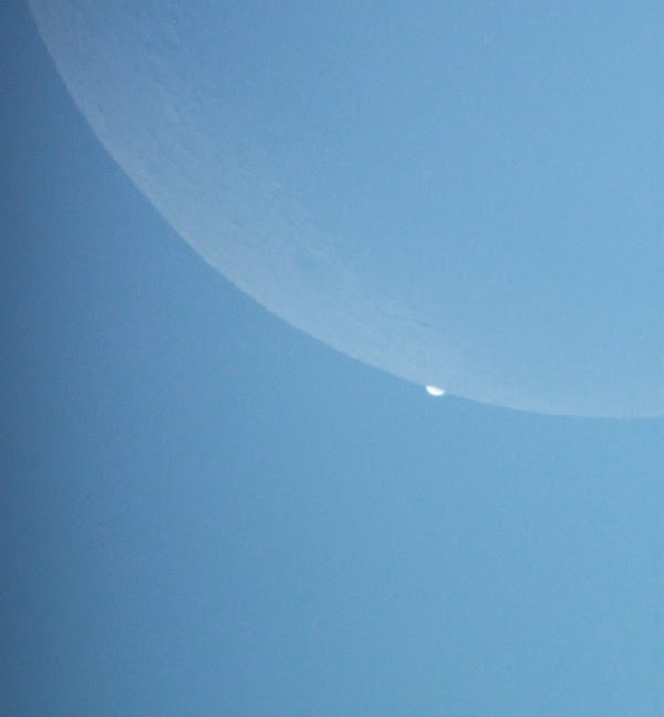 Now Venus is barely visible at the limb of the moon. February 26, 2014 Venus occultation by the moon. Photo by Ravindra Aradhya in Bangalore, India.
