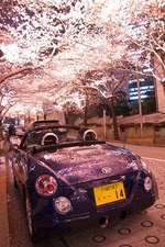 桜コペン01
