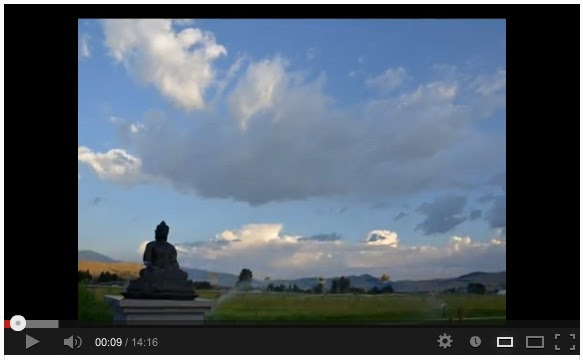 buddha buddha