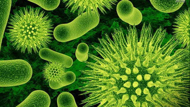 MI PRIMER BLOG: BACTERIOLOGIA