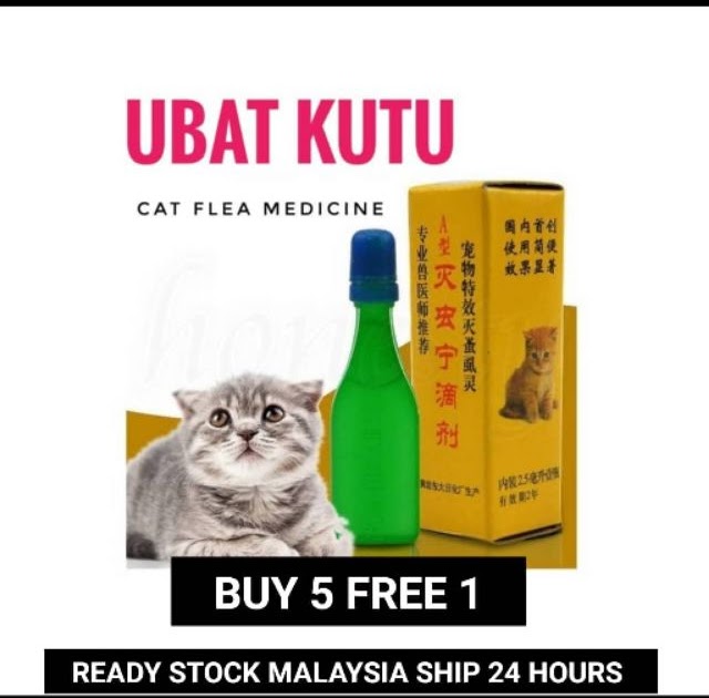 Ubat Kutu Kucing Shopee  Gambleh c