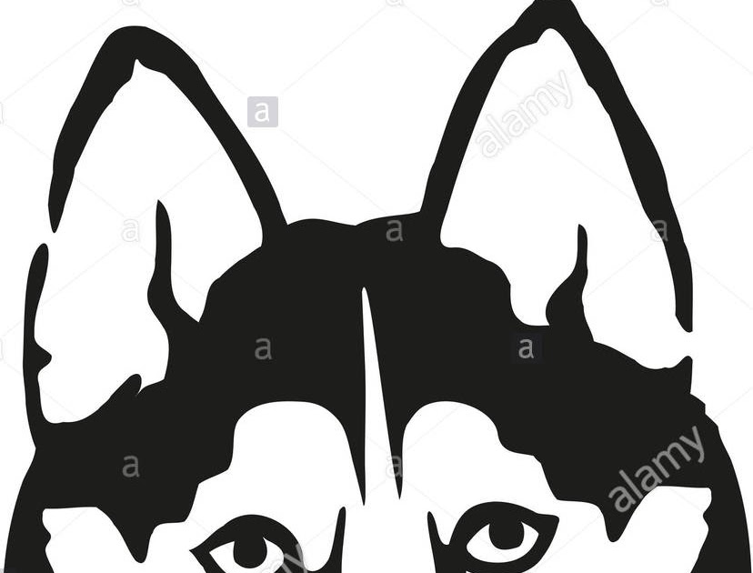 Husky Silhouette Svg Free - 887+ Popular SVG File - Free SVG Code