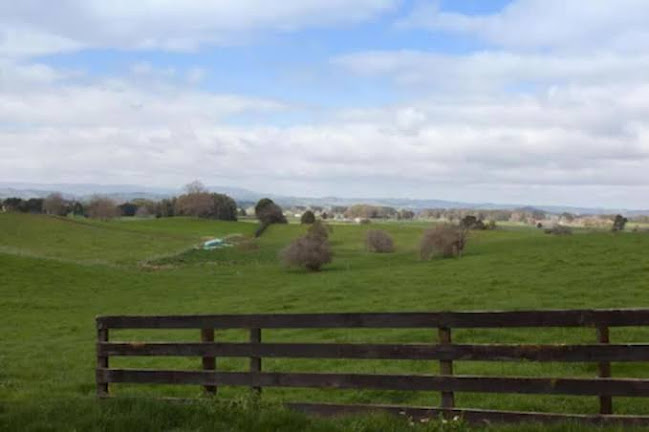 Otorohanga and Waitomo hotel - Night club