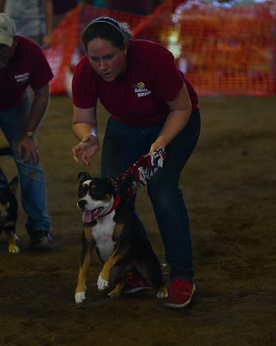 DSC_1098-2771530939-W