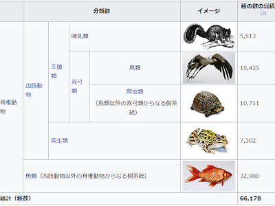 【ベストコレクション】 分類表 脊椎 動物 一覧 331624