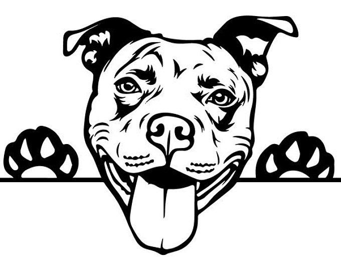 Free 269 I Love My Pitbull Svg SVG PNG EPS DXF File