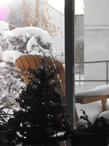 christmas tree and snow