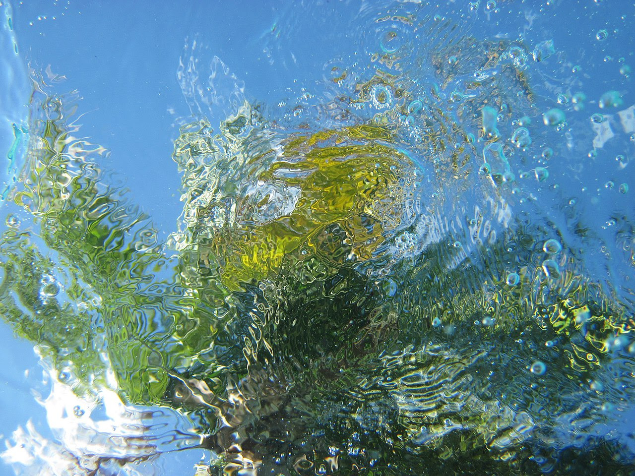 http://upload.wikimedia.org/wikipedia/commons/thumb/4/40/Underwater_surface_ripples.JPG/1280px-Underwater_surface_ripples.JPG