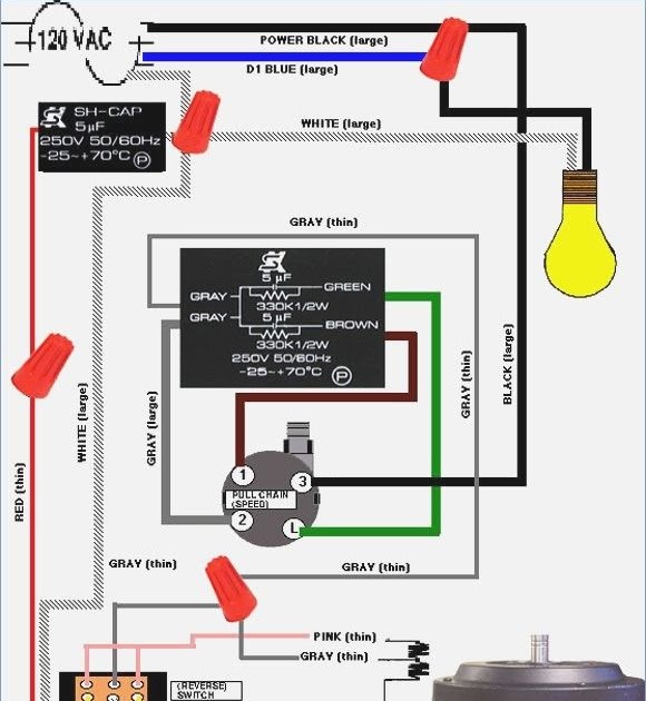 Hampton Bay Ceiling Fan Chain Switch Wiring Diagram | Wire