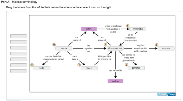 mastering biology chapter 13 homework quizlet