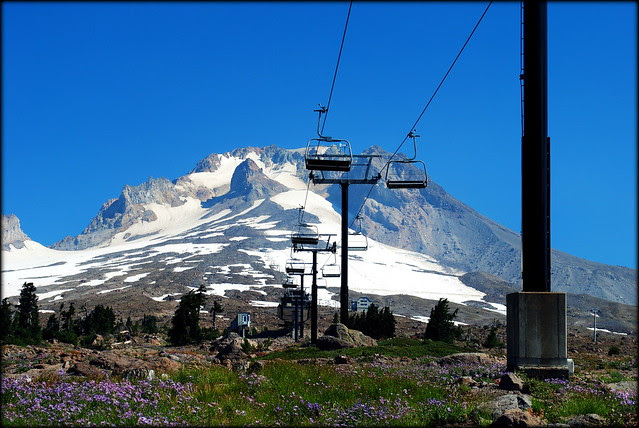 Mt Hood from the Timberline Trail / PCT