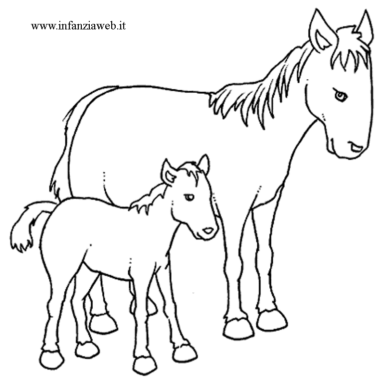 Disegni Da Colorare Di Cavalli E Cani Coloradisegni