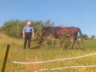 horsing about