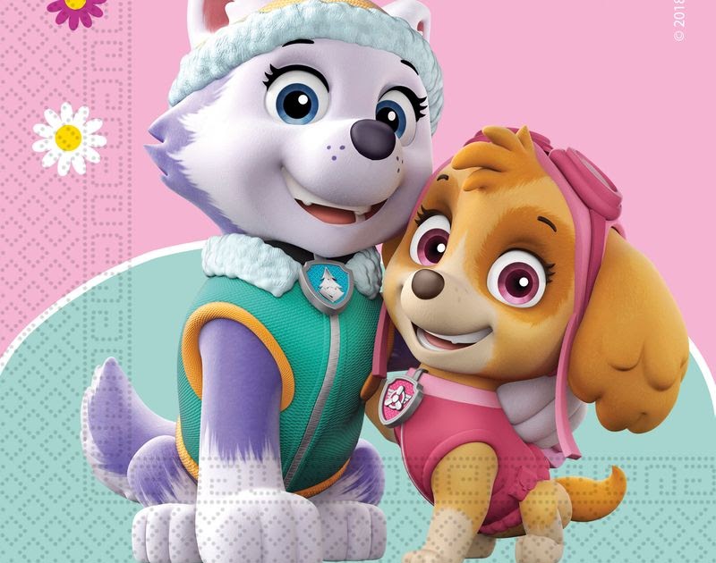 Paw Patrol Bilder Vorlagen zum Ausmalen gratis ausdrucken