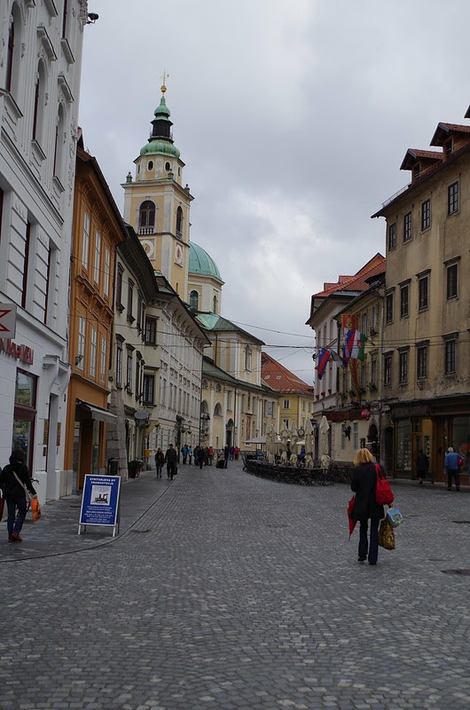 IMGP0598