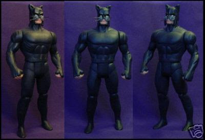 dcsh_sp_customwildcat.JPG