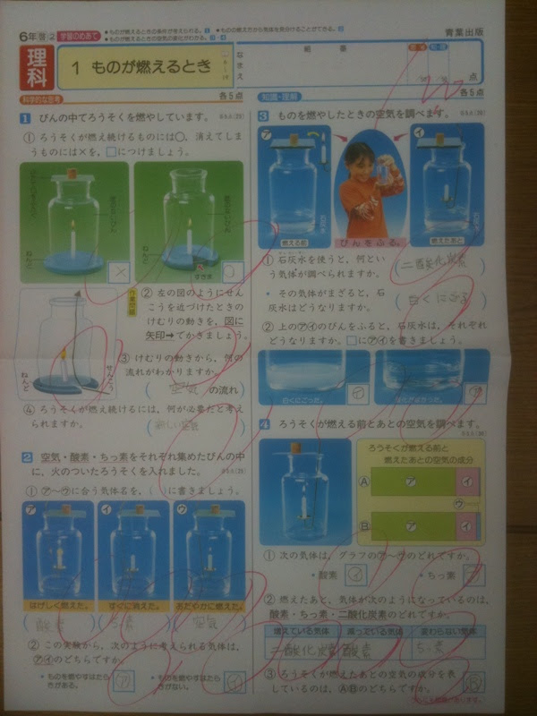 最も検索された 6年の理科 幼児 小学生 中学生の無料知育教材 無料学習教材プリント