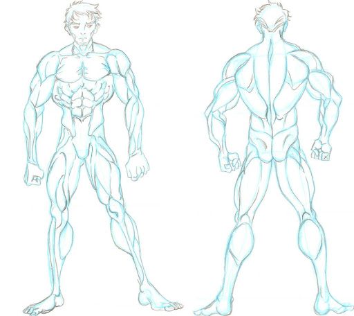 Back Muscles Drawing Reference Anime