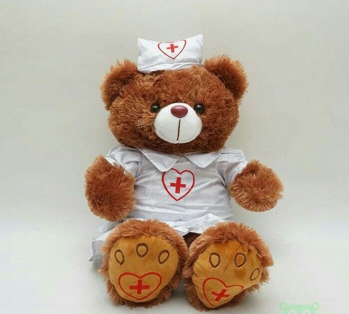  Gambar  Boneka Teddy  Bear  Warna Coklat boneka baru