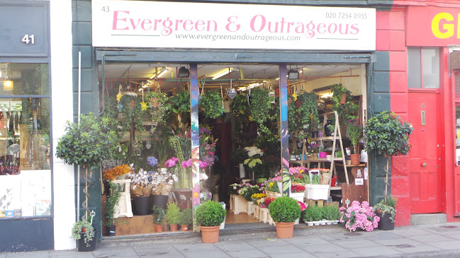 Evergreen & Outrageous - London