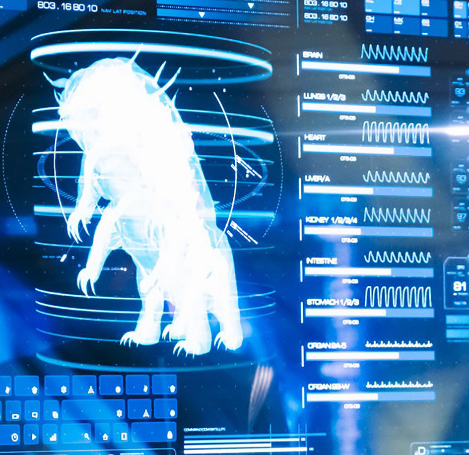 Dettagli anatomici sul tardigrado catturato nello scorso episodio: sembra abbia tre stomaci, tre polmoni e quattro reni. Spoiler, DSC, Discovery, TG TREK Star Trek News Novità Notizie