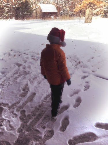 photo-3