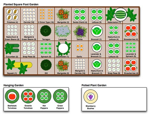 Landscape plans: Free vegetable garden designs and layouts