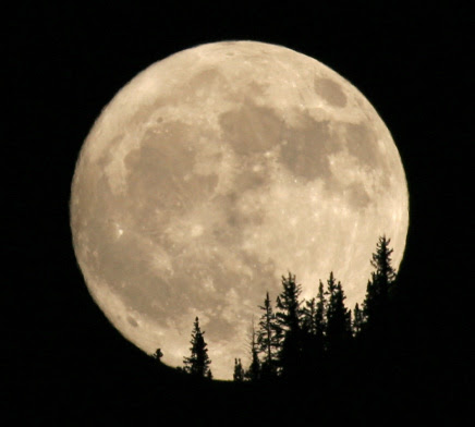 luna del lobo