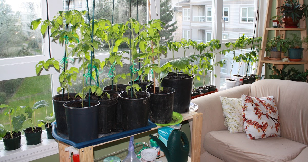 Indoor Gardening